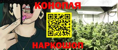 сатива Заволжье
